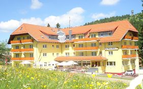 Hotel Burg Feldberg